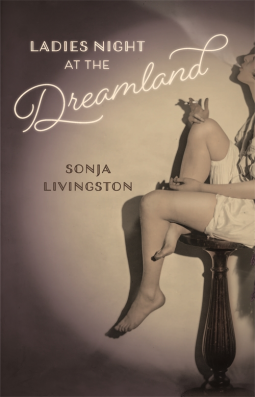 book cover for Ladies Night at the Dreamland