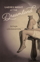 book cover for Ladies Night at the Dreamland