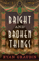 book cover for Bright and Broken Things