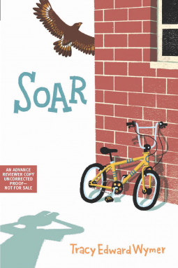 book cover for Soar