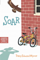 book cover for Soar