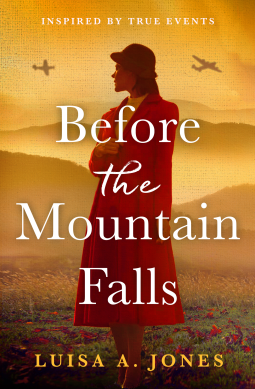 book cover for Before the Mountain Falls