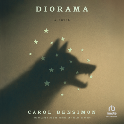 book cover for Diorama