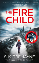 book cover for The Fire Child