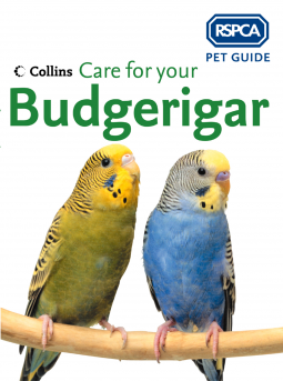 book cover for Care for your Budgerigar