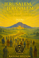 book cover for Jerusalem Jerusalem