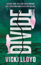 book cover for The Divide