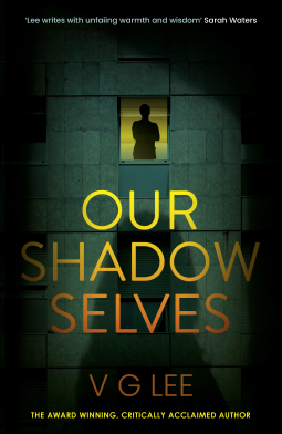 book cover for Our Shadow Selves