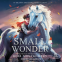 book cover for Small Wonder