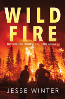 book cover for Wild Fire