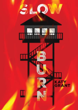 book cover for Slow Burn