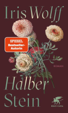 Buchcover für Halber Stein