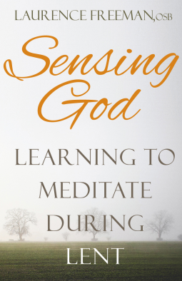 book cover for Sensing God