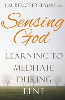 book cover for Sensing God