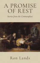 book cover for A Promise of Rest