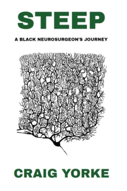 book cover for Steep