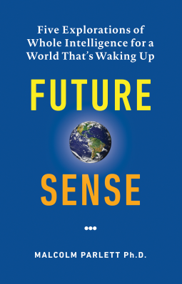 book cover for Future Sense
