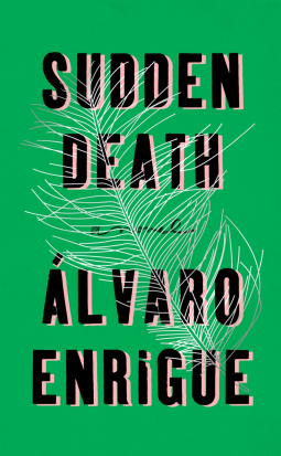 book cover for Sudden Death