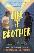 book cover for Like A Brother