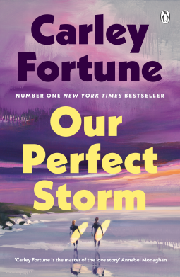 book cover for Our Perfect Storm