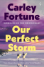 Cover Image: Our Perfect Storm
