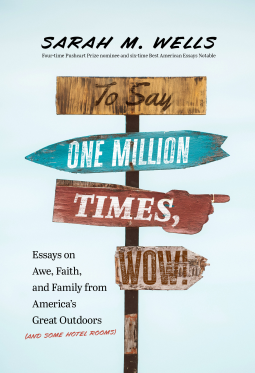 book cover for To Say One Million Times, WOW!