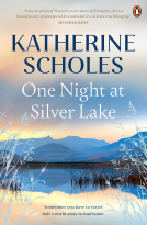 book cover for One Night at Silver Lake