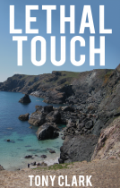book cover for  Lethal Touch