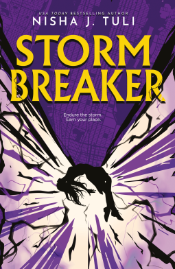 book cover for Storm Breaker