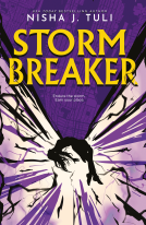 book cover for Storm Breaker