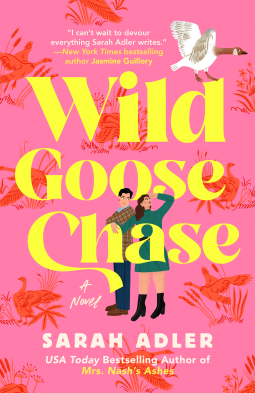 book cover for Wild Goose Chase