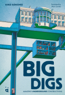 book cover for Big Digs