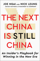 book cover for The Next China Is Still China