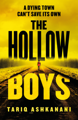 book cover for The Hollow Boys