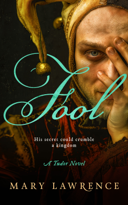 book cover for Fool