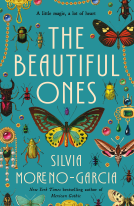 book cover for The Beautiful Ones