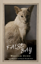 book cover for False Bay