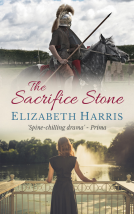 book cover for The Sacrifice Stone