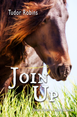 book cover for Join Up