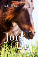 book cover for Join Up