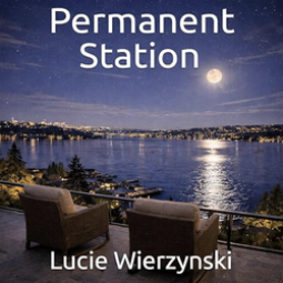 book cover for Permanent Station