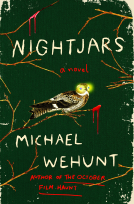 book cover for Nightjars
