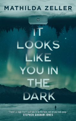 book cover for It Looks Like You in the Dark