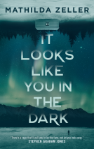 book cover for It Looks Like You in the Dark