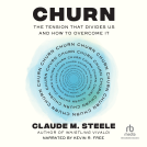 book cover for Churn