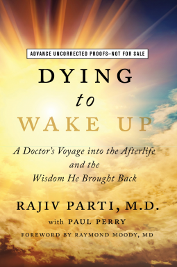 book cover for Dying to Wake Up