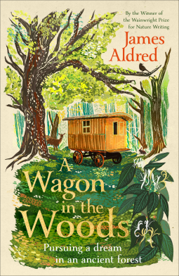 book cover for A Wagon in the Woods