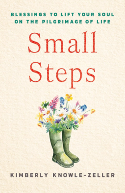 book cover for Small Steps