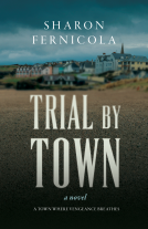 book cover for Trial By Town