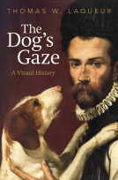 book cover for The Dog's Gaze
